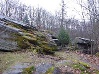 6  Saverne LE WASSERWALD 05 03 2017 18